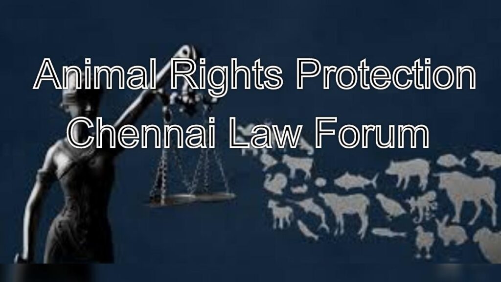 Animal Rights Protection: Legal Advocacy from Chennai Law Forum